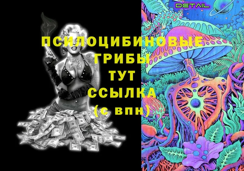 Галлюциногенные грибы Cubensis  закладки  Дюртюли 